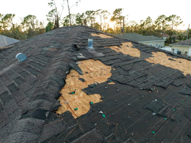 Reliable Genoa City, WI  Roofing repair and installation Solutions